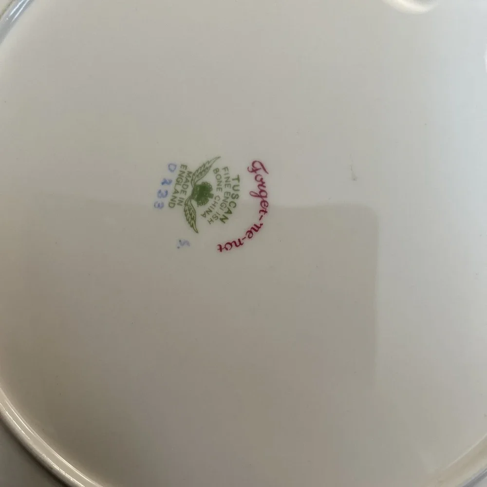 Tuscan Fine English Bone China Forget Me Not Plate 10‎ Inch